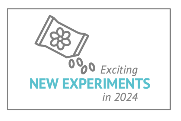 New experiments - subscription financial content